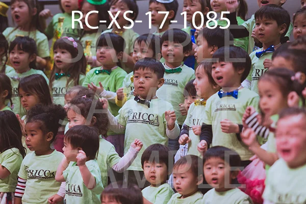RC-XS-17-1085.jpg