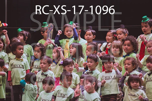 RC-XS-17-1096.jpg