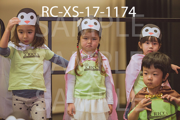 RC-XS-17-1174.jpg