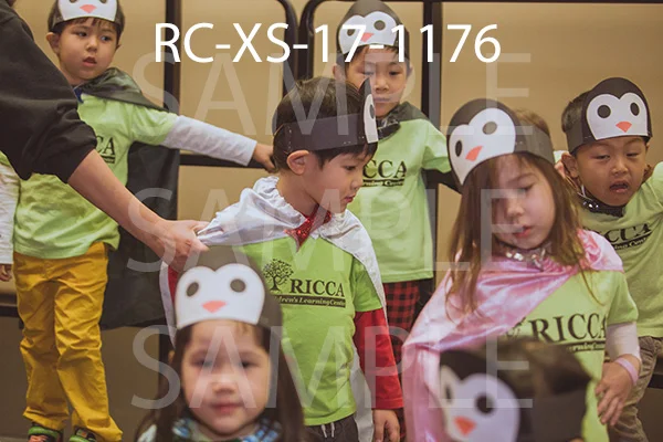 RC-XS-17-1176.jpg