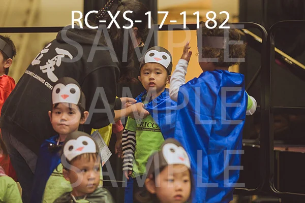 RC-XS-17-1182.jpg