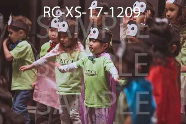 RC-XS-17-1209.jpg