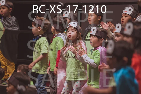 RC-XS-17-1210.jpg