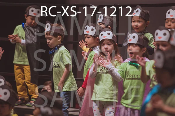 RC-XS-17-1212.jpg