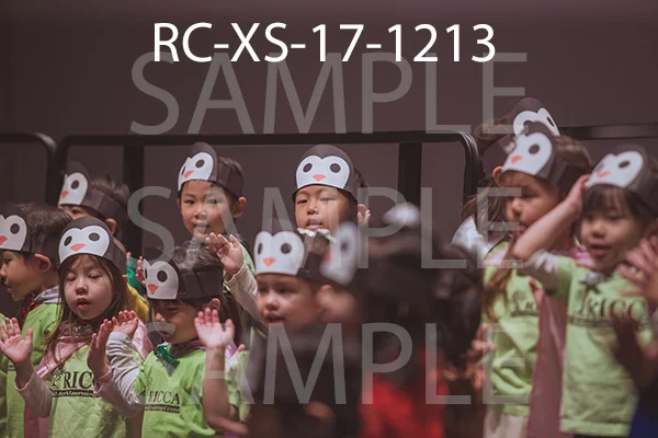 RC-XS-17-1213.jpg