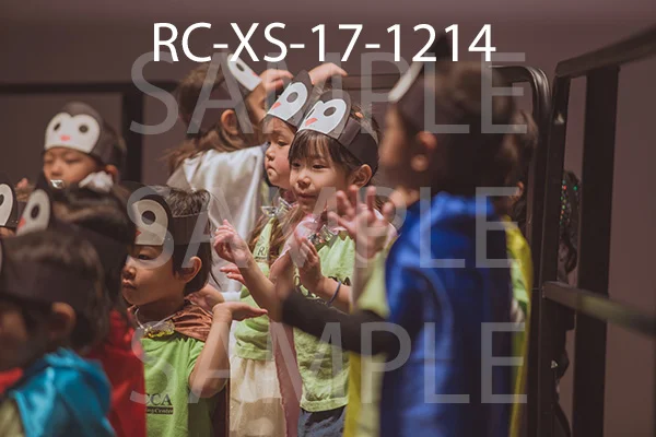 RC-XS-17-1214.jpg