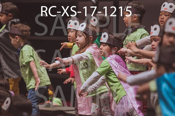 RC-XS-17-1215.jpg