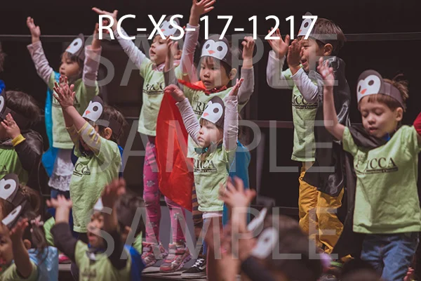 RC-XS-17-1217.jpg