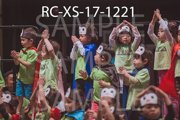 RC-XS-17-1221.jpg