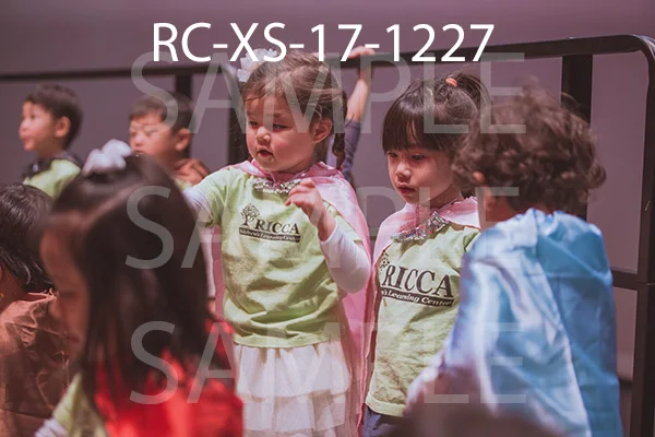 RC-XS-17-1227.jpg