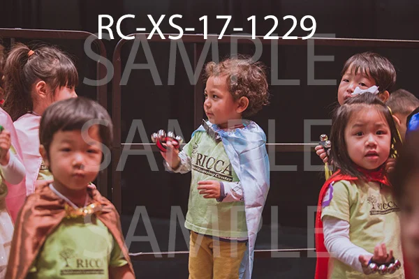 RC-XS-17-1229.jpg