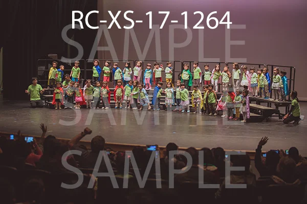 RC-XS-17-1264.jpg