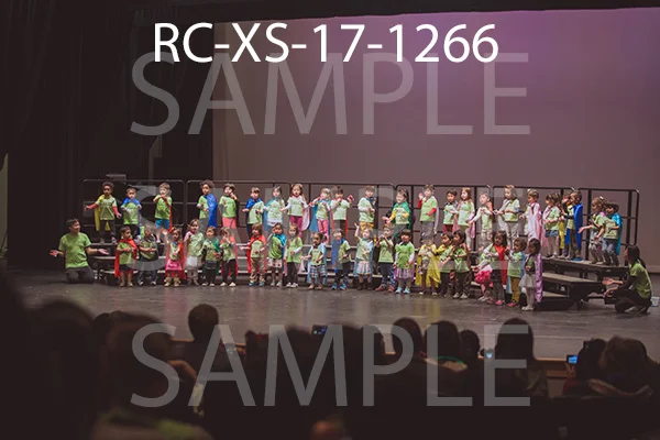 RC-XS-17-1266.jpg