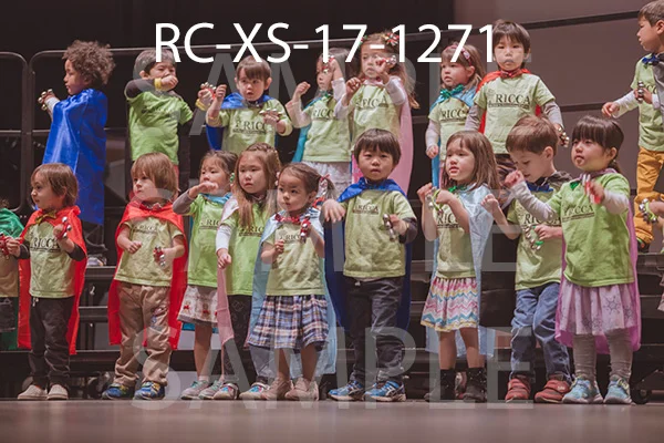 RC-XS-17-1271.jpg