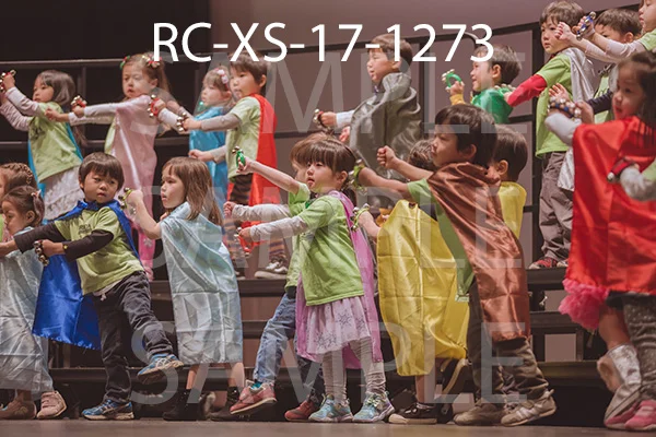RC-XS-17-1273.jpg