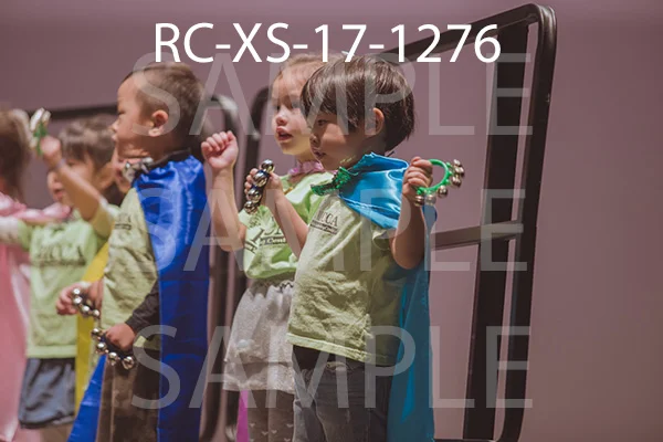 RC-XS-17-1276.jpg