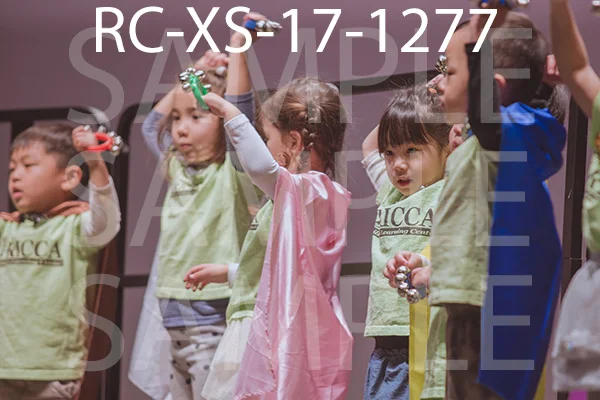 RC-XS-17-1277.jpg