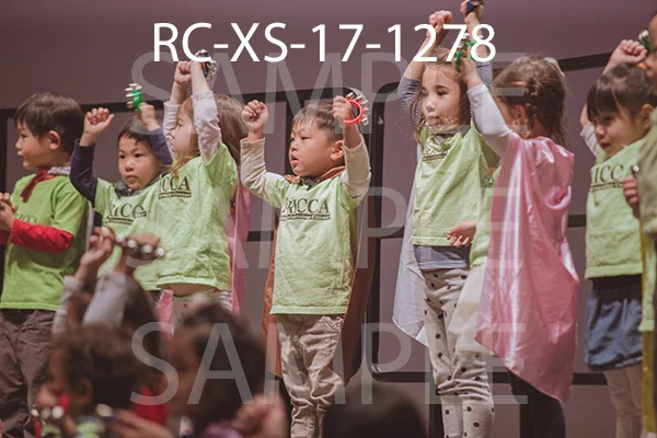 RC-XS-17-1278.jpg