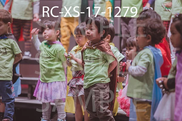 RC-XS-17-1279.jpg