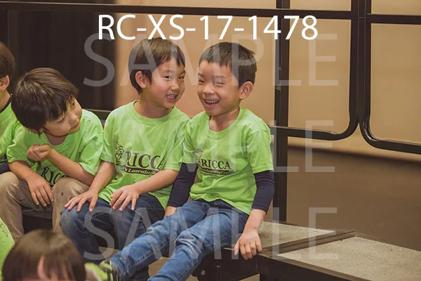 RC-XS-17-1478.jpg