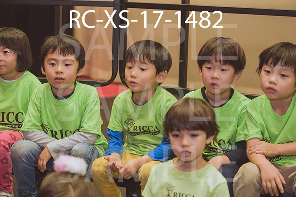 RC-XS-17-1482.jpg