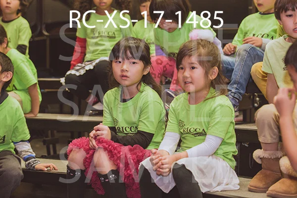 RC-XS-17-1485.jpg