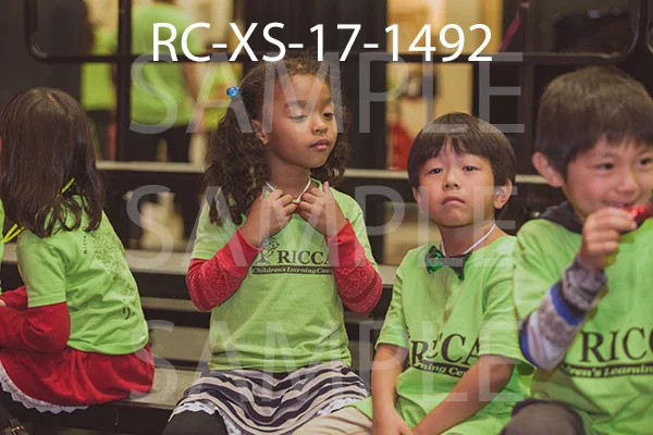 RC-XS-17-1492.jpg