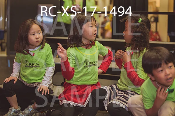 RC-XS-17-1494.jpg