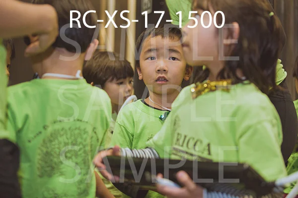 RC-XS-17-1500.jpg