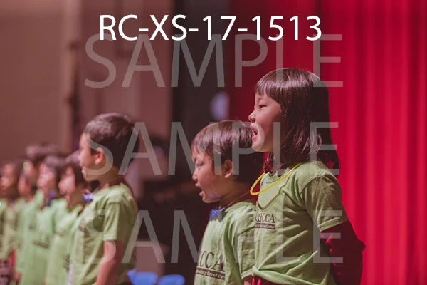 RC-XS-17-1513.jpg