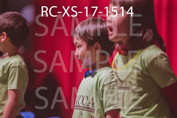 RC-XS-17-1514.jpg