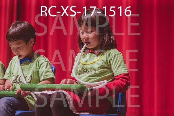 RC-XS-17-1516.jpg