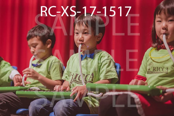 RC-XS-17-1517.jpg