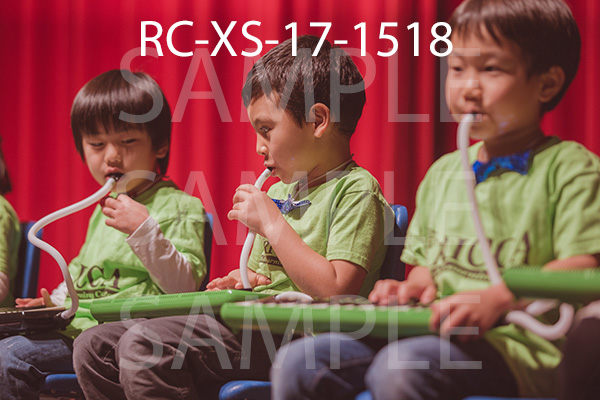 RC-XS-17-1518.jpg