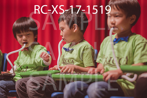 RC-XS-17-1519.jpg