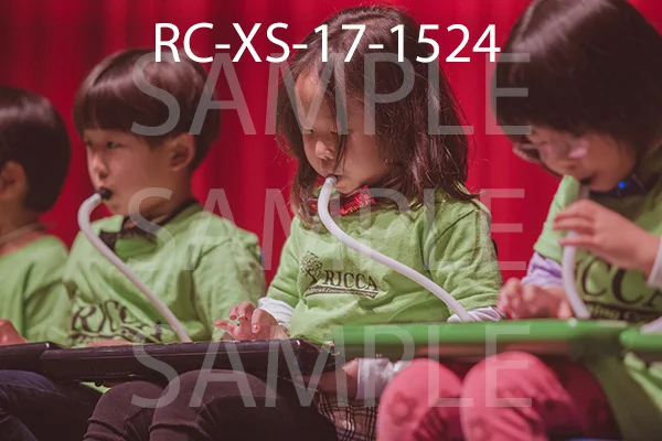 RC-XS-17-1524.jpg