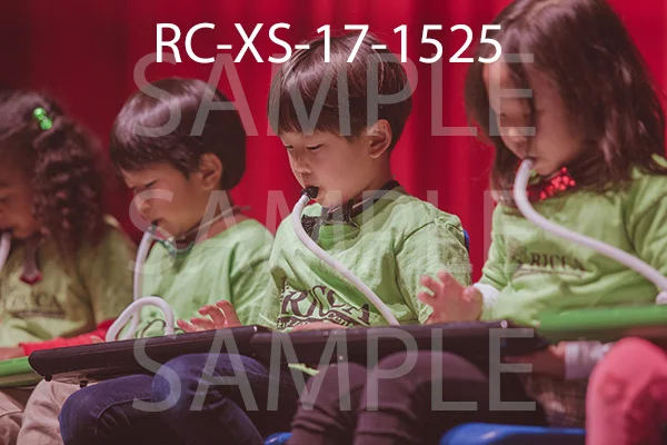 RC-XS-17-1525.jpg
