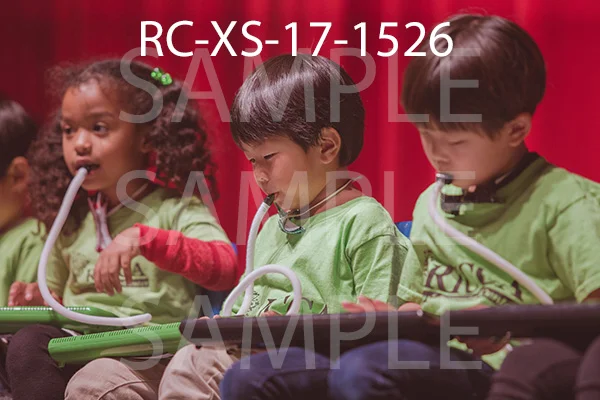 RC-XS-17-1526.jpg