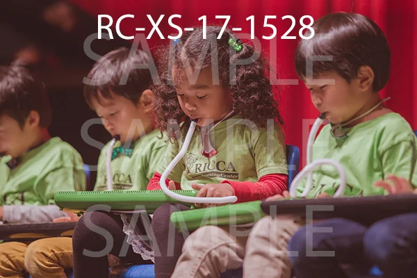 RC-XS-17-1528.jpg