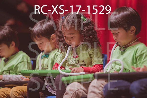 RC-XS-17-1529.jpg