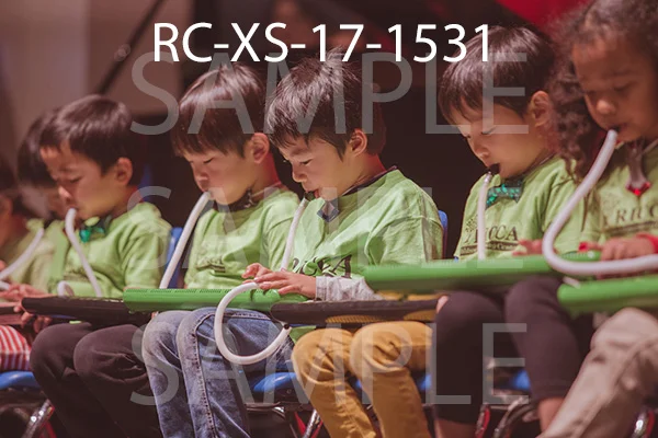 RC-XS-17-1531.jpg