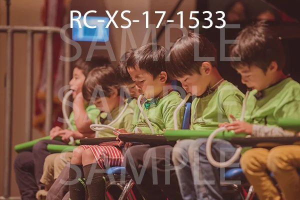 RC-XS-17-1533.jpg