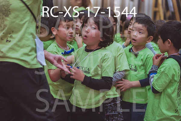 RC-XS-17-1544.jpg