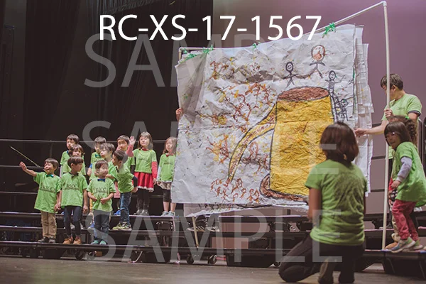 RC-XS-17-1567.jpg