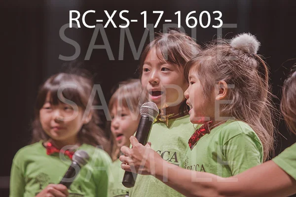 RC-XS-17-1603.jpg