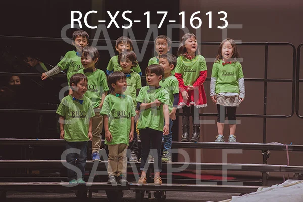 RC-XS-17-1613.jpg