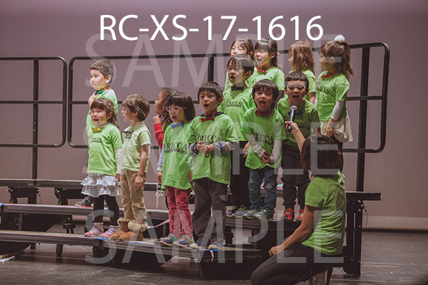 RC-XS-17-1616.jpg