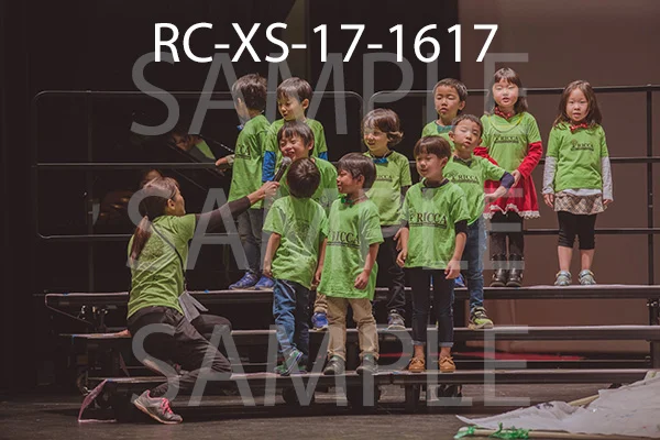 RC-XS-17-1617.jpg