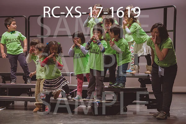 RC-XS-17-1619.jpg