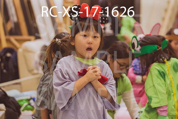 RC-XS-17-1626.jpg